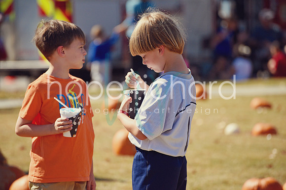 DSC_2974 copy