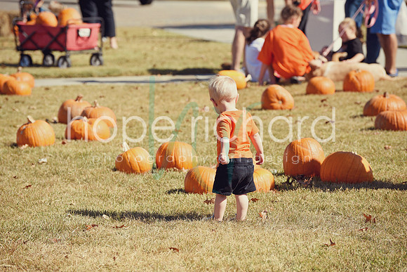 DSC_2920 copy