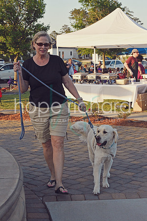 _DSC0538 copy
