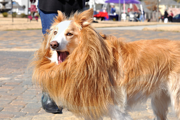 DSC_3893