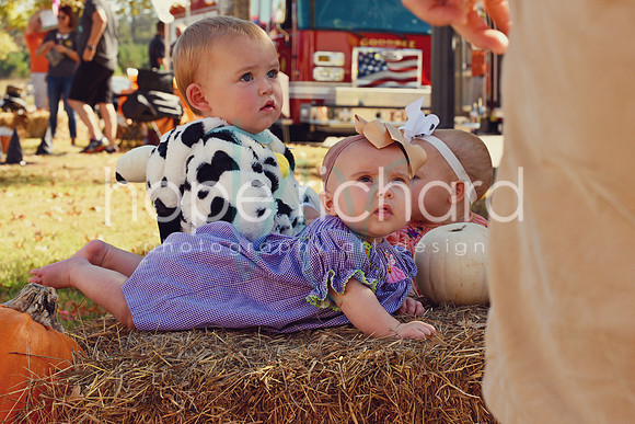 DSC_2900 copy