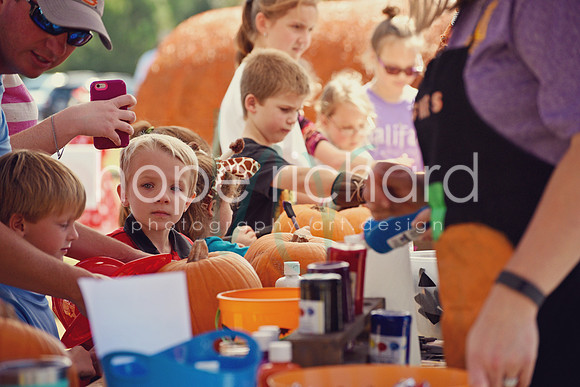 DSC_3014 copy