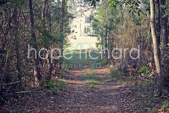 DSC_6258 copy