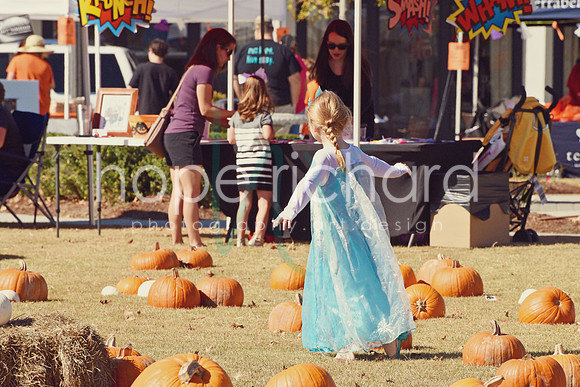 DSC_2876 copy