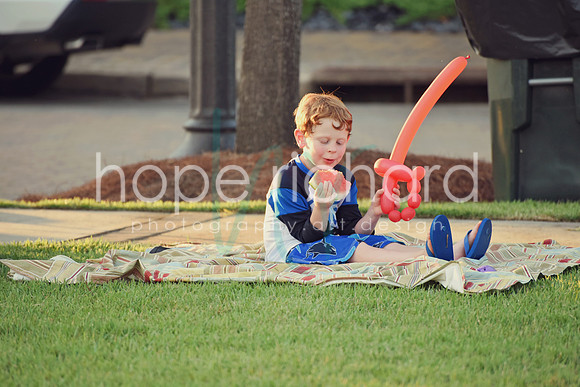 DSC_7412 copy