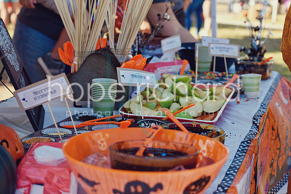 DSC_3001 copy