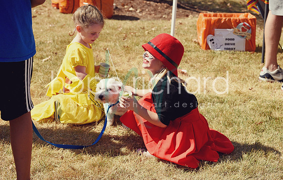 DSC_3008 copy