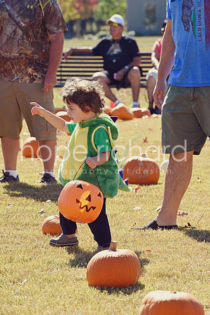 DSC_2885 copy