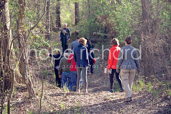 DSC_6224 copy