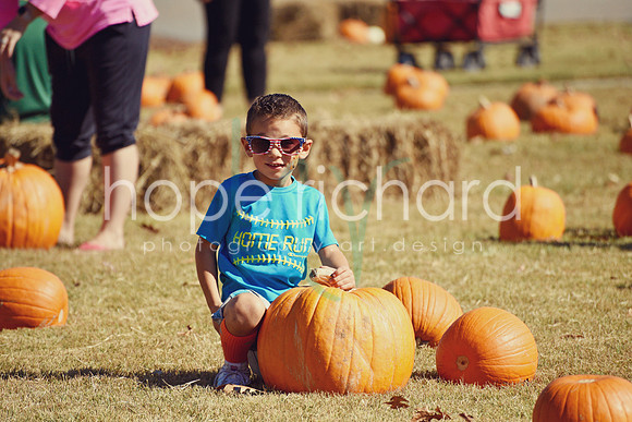 DSC_2916 copy