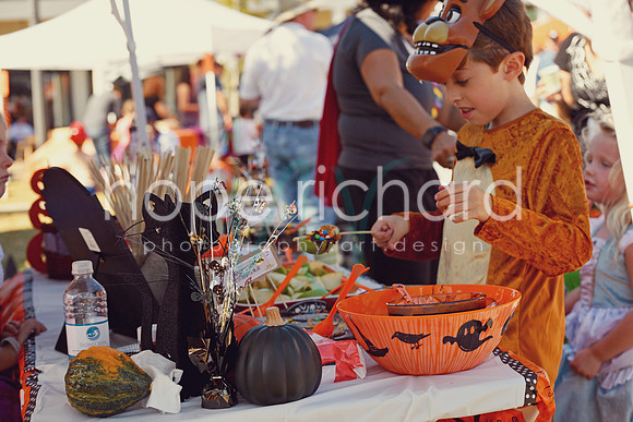 DSC_3000 copy