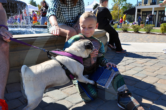DSC_0121