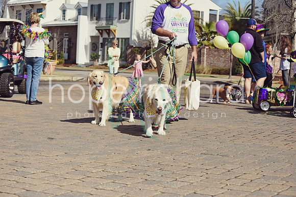 _DSC7466 copy