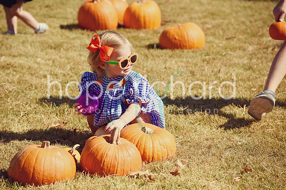 DSC_2946 copy