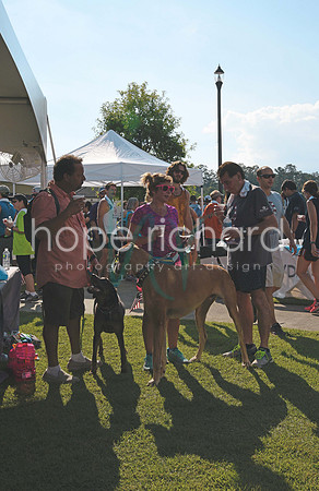 _DSC1678 copy