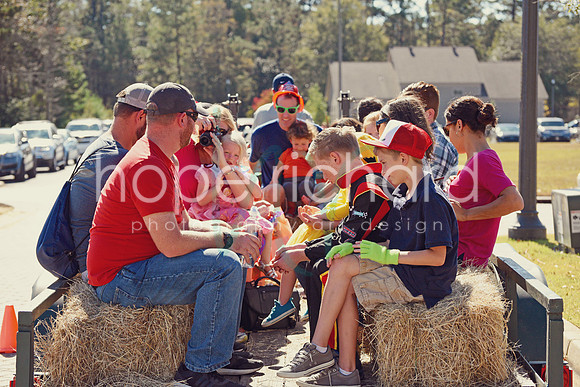 DSC_2989 copy