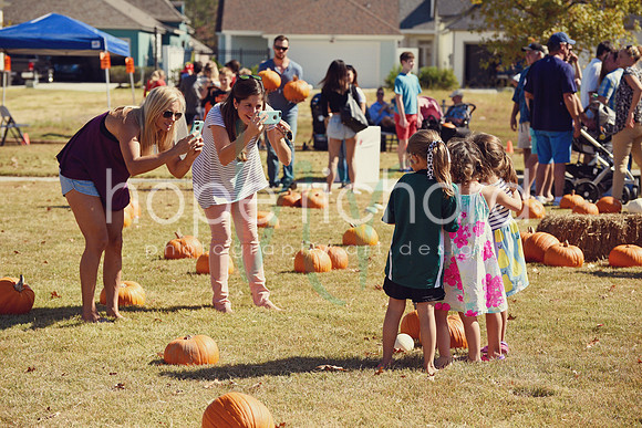 DSC_2949 copy