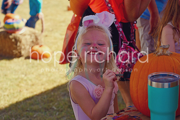 DSC_3022 copy