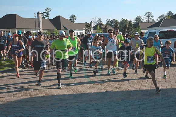 _DSC1501 copy