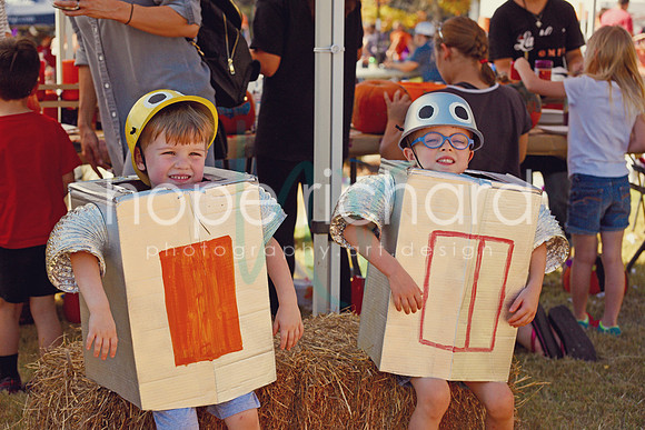 DSC_3050 copy