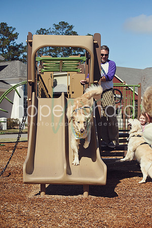 _DSC7584 copy