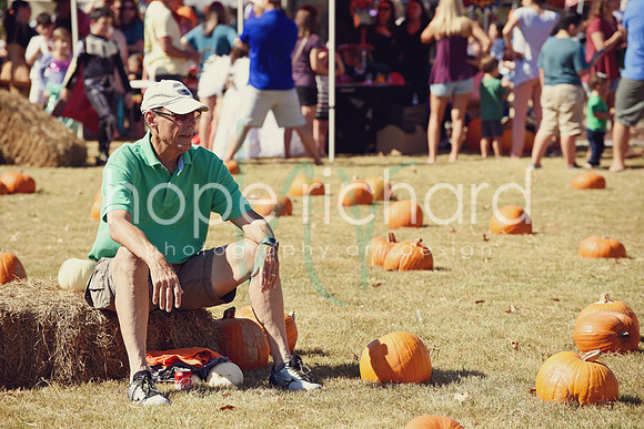 DSC_2978 copy