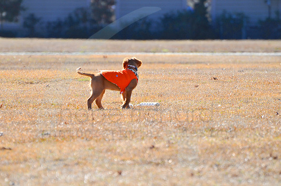 DSC_4031
