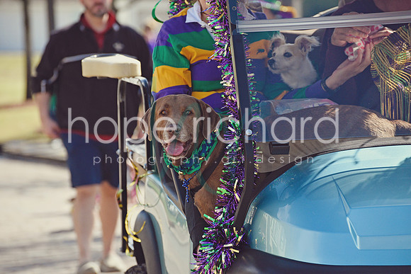 _DSC7525 copy