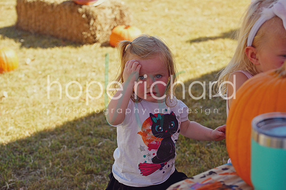 DSC_3019 copy