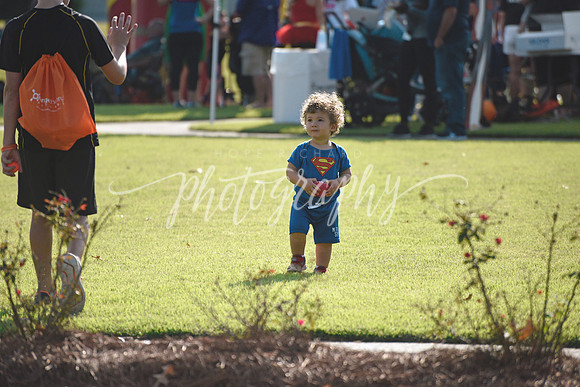 _DSC6084 copy