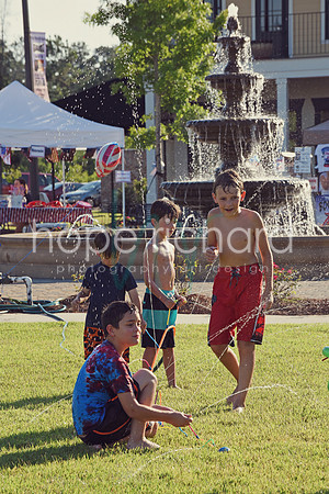 DSC_7333 copy