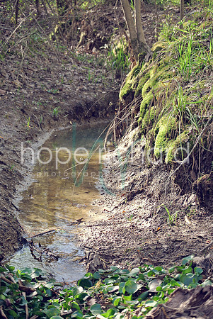 DSC_6221 copy