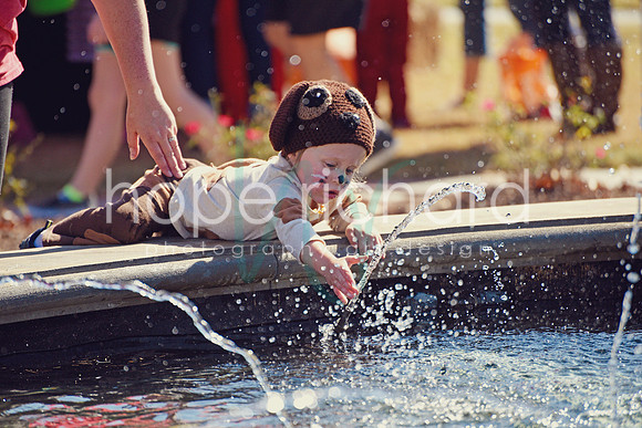 DSC_2956 copy