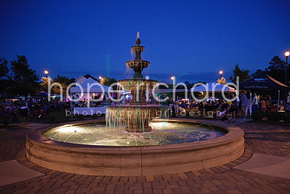 _DSC0652 copy