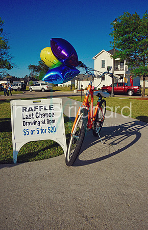 _DSC0466 copy