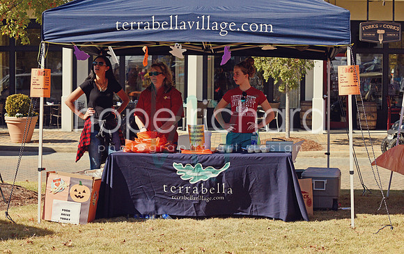 DSC_2913 copy