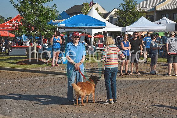 _DSC1553 copy