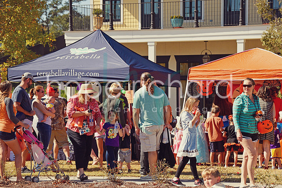 DSC_2955 copy