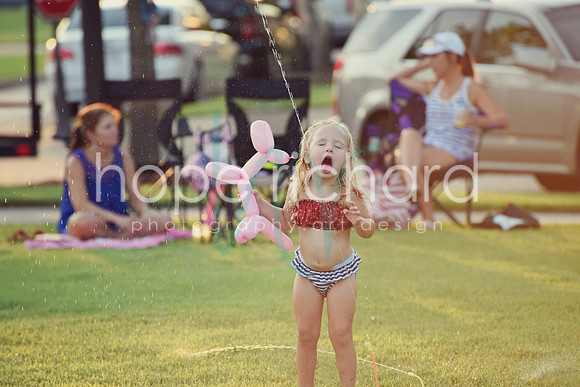 DSC_7415 copy
