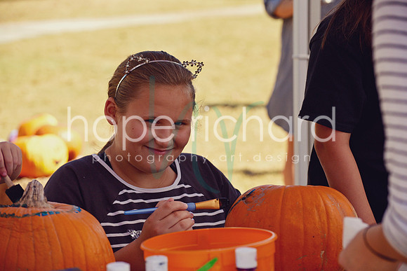 DSC_3052 copy
