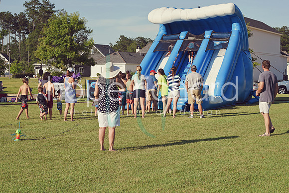 DSC_7304 copy
