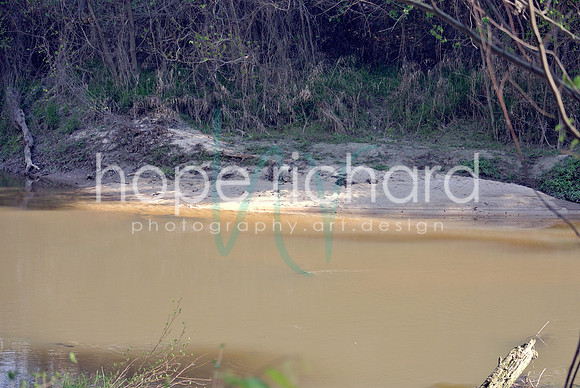 DSC_6251 copy
