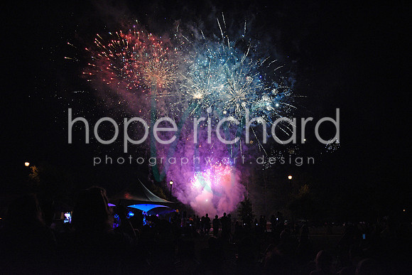 _DSC0711 copy