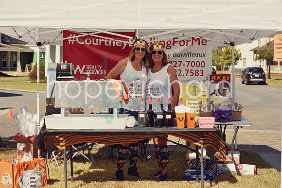 DSC_2910 copy