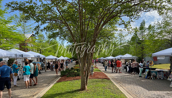 IMG_1952