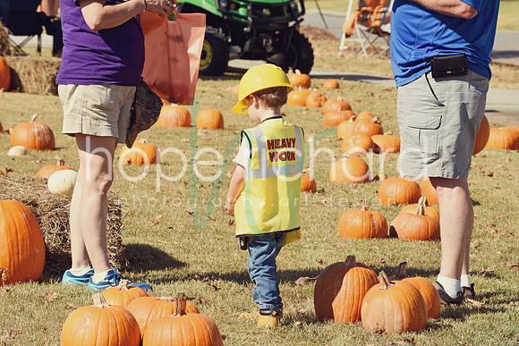 DSC_2883 copy