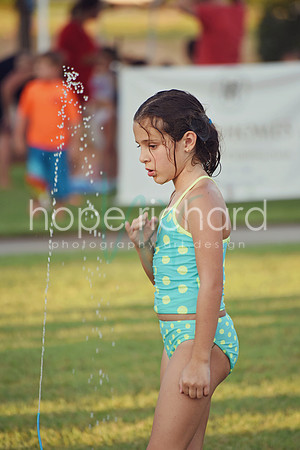 DSC_7400 copy