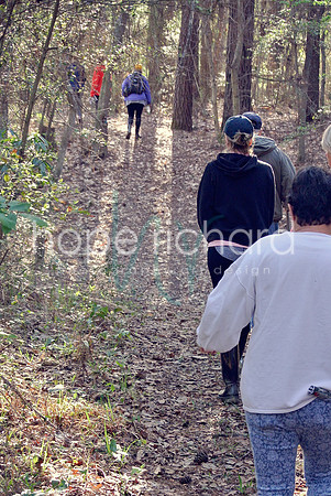 DSC_6233 copy