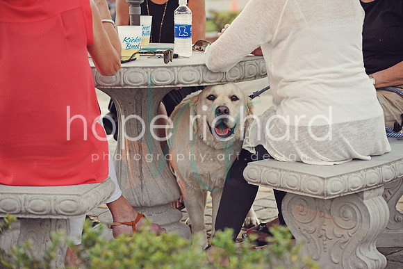 _DSC0637 copy