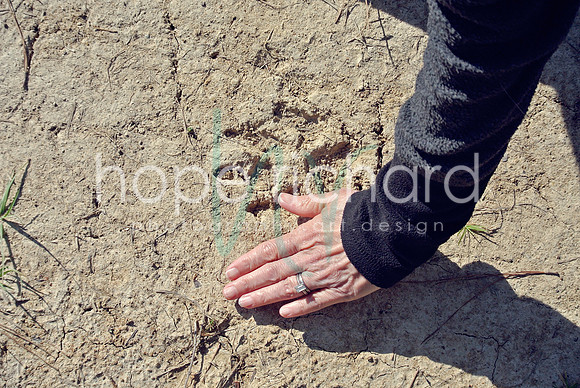 DSC_6274 copy